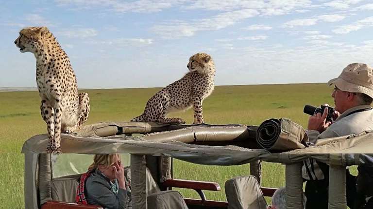Maasai Mara National Reserve Adventure Tour: 3 Days Masai Mara Camping safari on 4x4 landcruiser