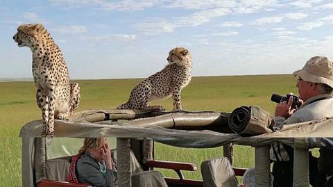 3 Days Masai Mara Camping Safari On 4x4 Landcruiser
