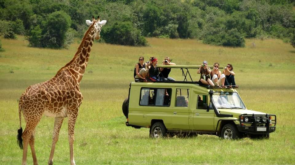 3 Days Masai Mara Camping safari on 4x4 landcruiser - Gracepatt Ecotours Kenya - Kenya