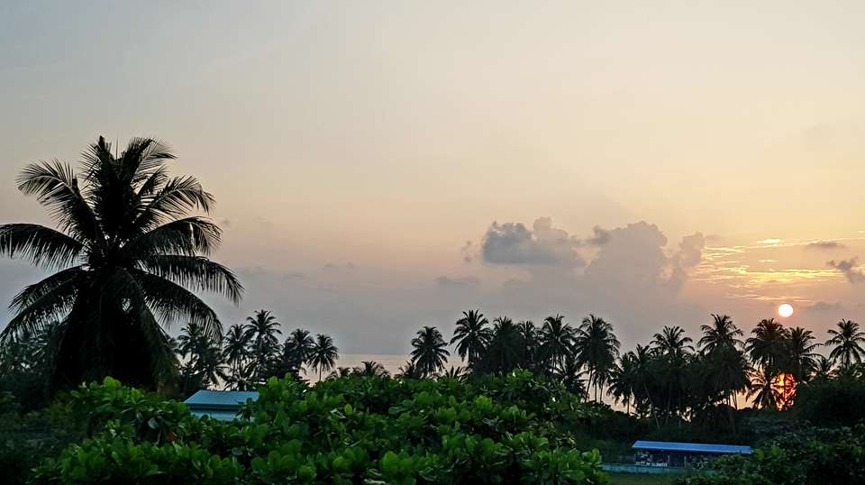 3N Marine Life Break - Secret Paradise Maldives - Maldives - Image 2