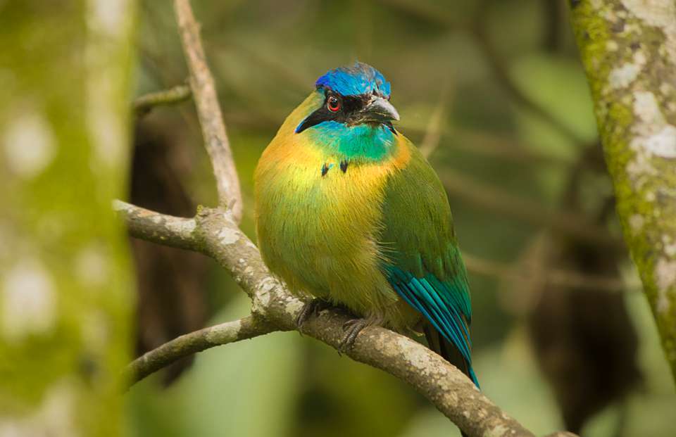 4-day Arenal & Monteverde Essentials - Destination Services - Costa Rica - Image 9