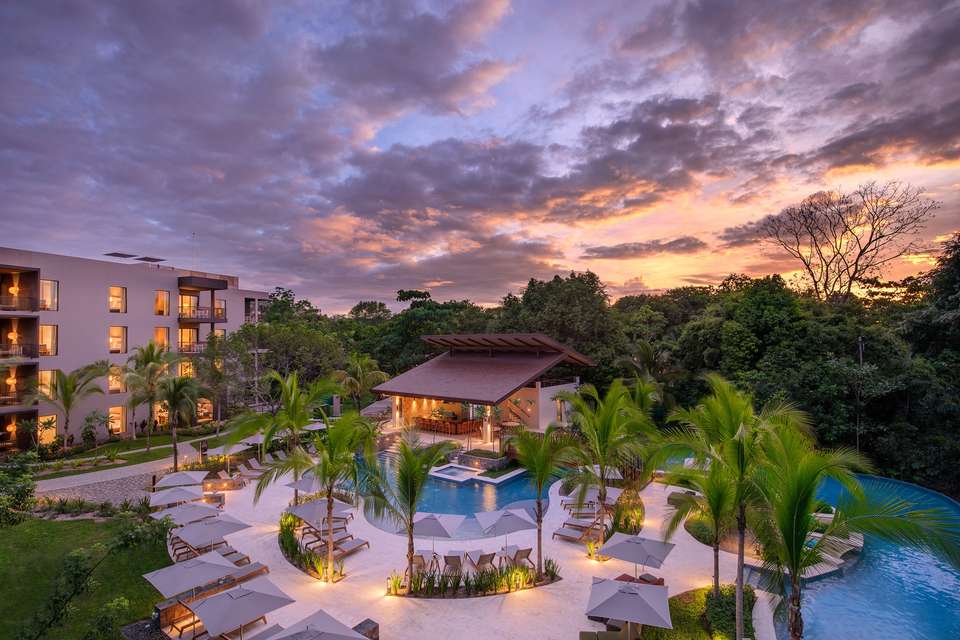 4-day Botanika Osa Rainforest Experience - Destination Services - Costa Rica - Image 4