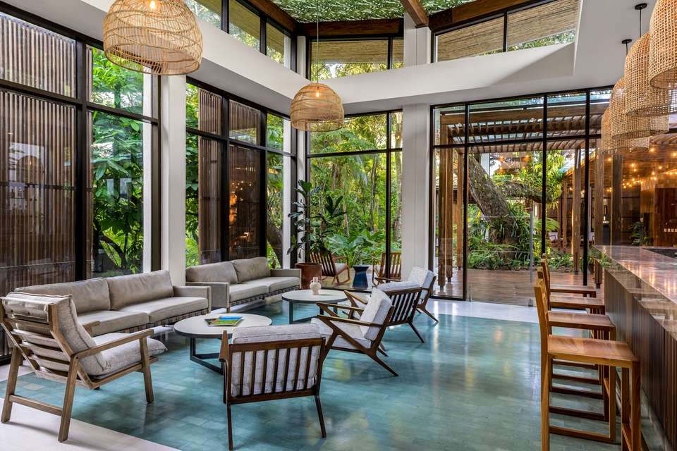 4-day Botanika Osa Rainforest Experience - Destination Services - Costa Rica - Image 11
