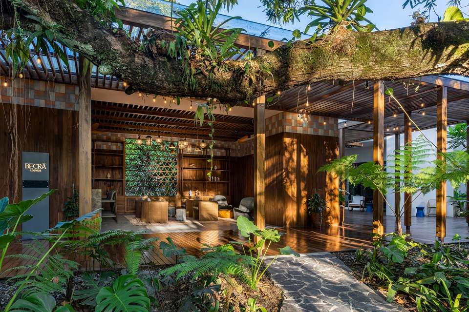 4-day Botanika Osa Rainforest Experience - Destination Services - Costa Rica - Image 14