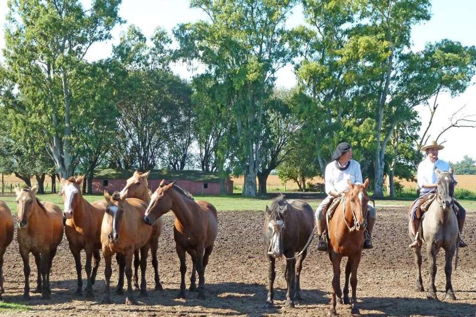 4-Day Buenos Aires Adventure Tour - Tangol Tours - Argentina - Image 3