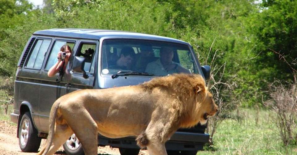 4-day Camping Safari in Uganda - Mak Global Consults Tours & Travel - Uganda - Image 2