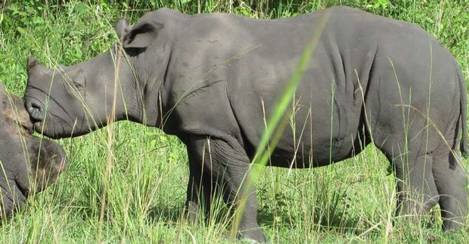 4-day Camping Safari in Uganda - Mak Global Consults Tours & Travel - Uganda - Image 3