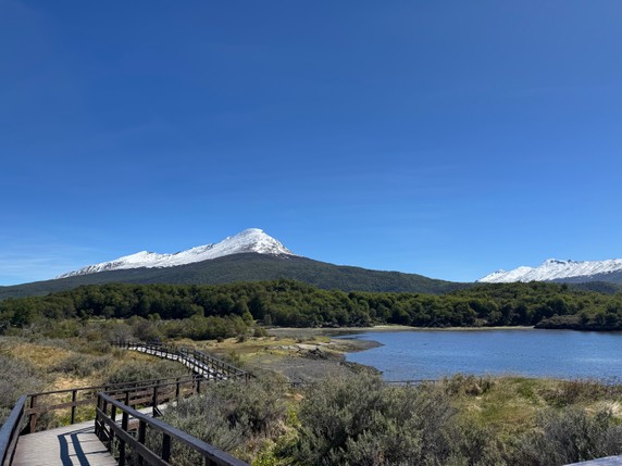 Image 2 of 12
