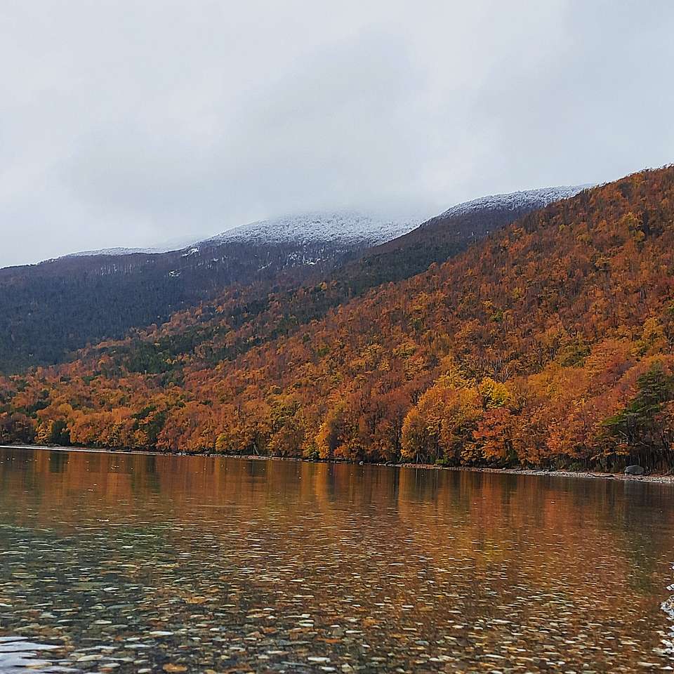 4-day Classic Ushuaia: Tierra Del Fuego National Park, French Or German-speaking Guide - Destination Services - Argentina - Image 3