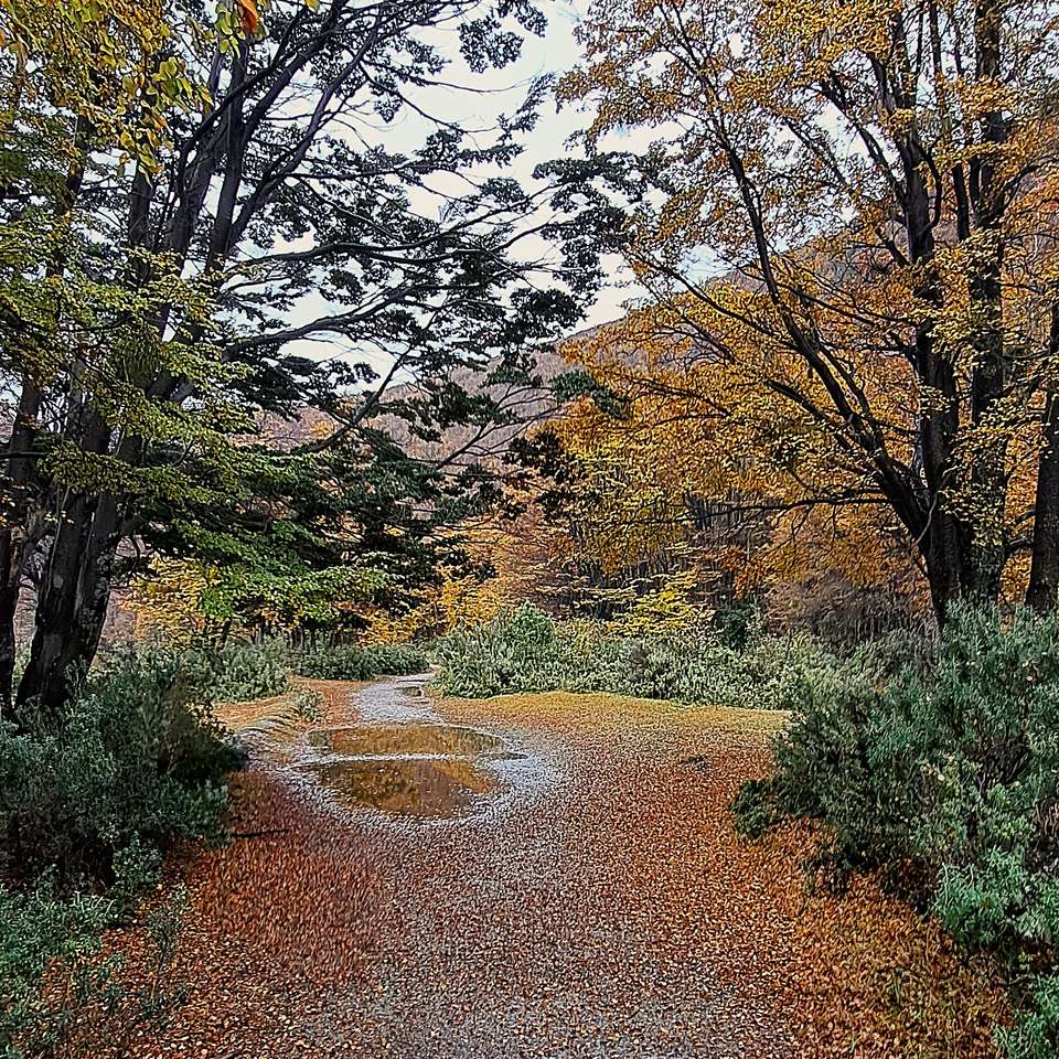 4-day Classic Ushuaia: Tierra Del Fuego National Park, French Or German-speaking Guide - Destination Services - Argentina - Image 4