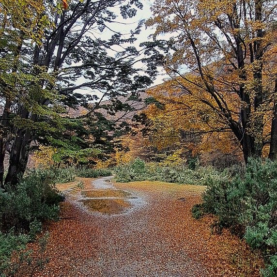 Image 4 of 9