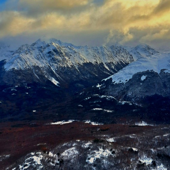 Image 5 of 9