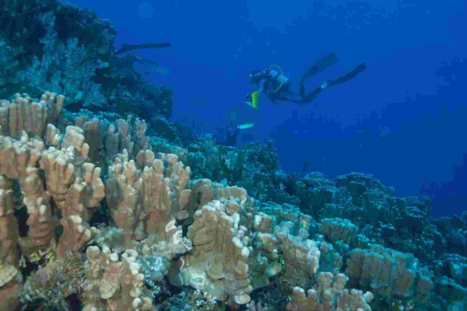 4-Day Easter Island Adventure Tour