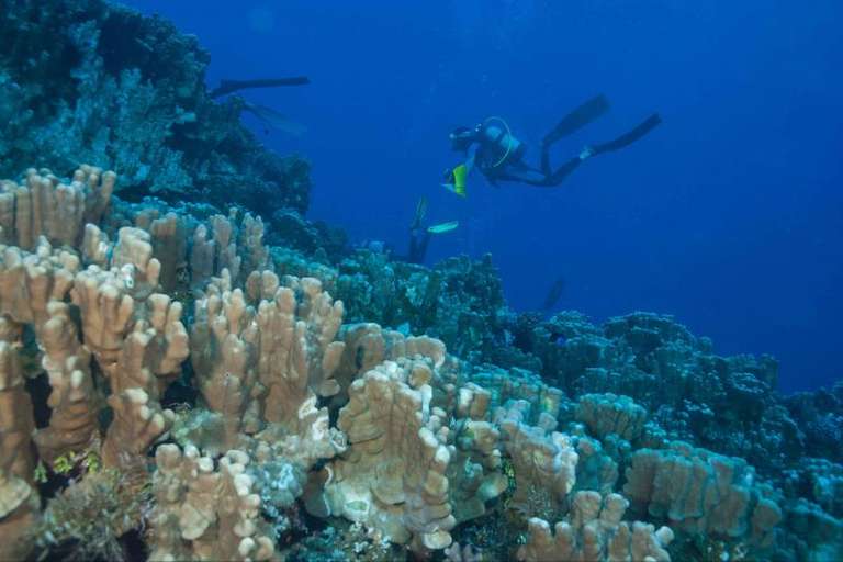 Chile Volcanoes Tour: 4-Day Easter Island Adventure Tour
