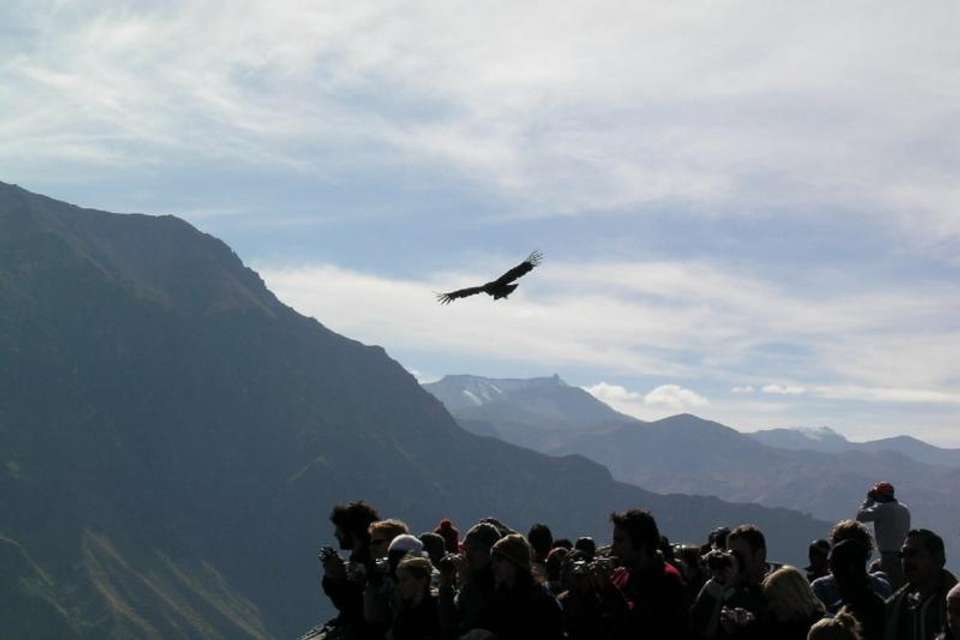 4-Day Arequipa and Colca Canyon Essential Tour Package - Tangol Tours - Peru - Image 2