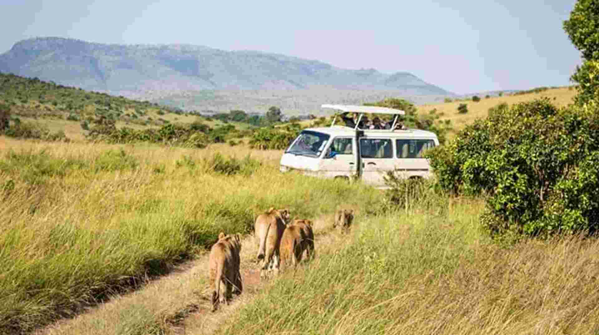 4-Day Hemingway Safari