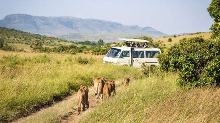 4-Day Hemingway Safari - 4 days