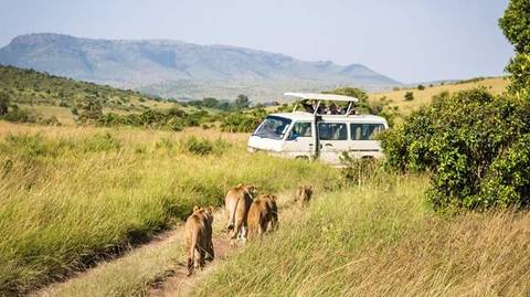 4-day Hemingway Safari - 4 Days