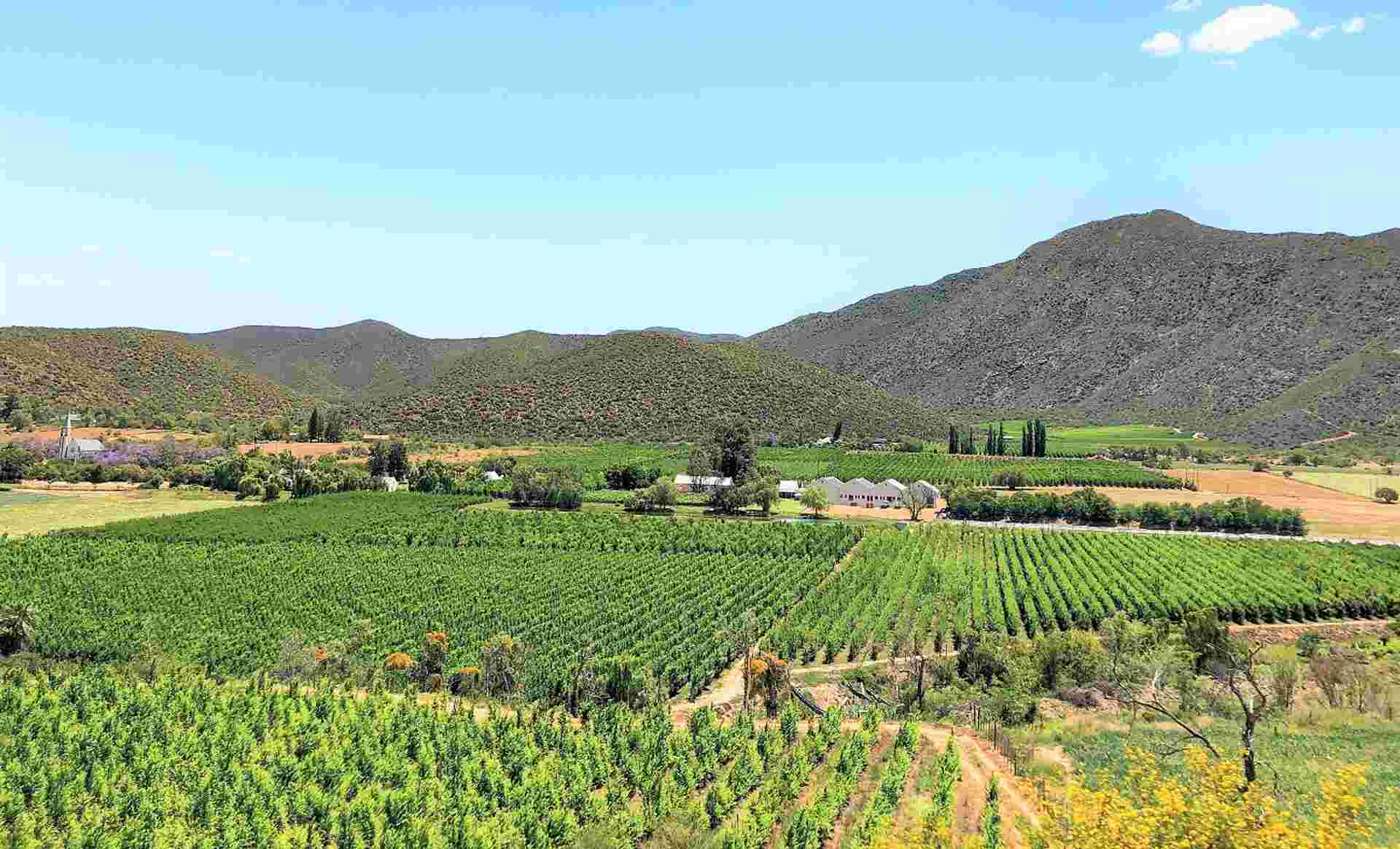 4-day Highlights of the Garden Route Accommodated