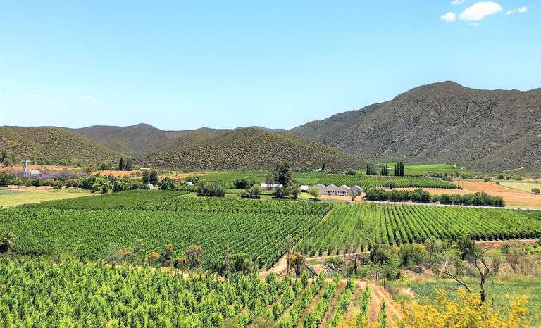 4-day Highlights of the Garden Route Accommodated trip - alternative tour available