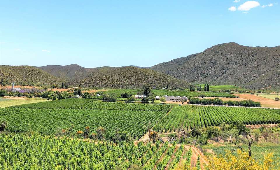 4-day Highlights of the Garden Route Accommodated - Acacia Africa - South Africa - Image 1