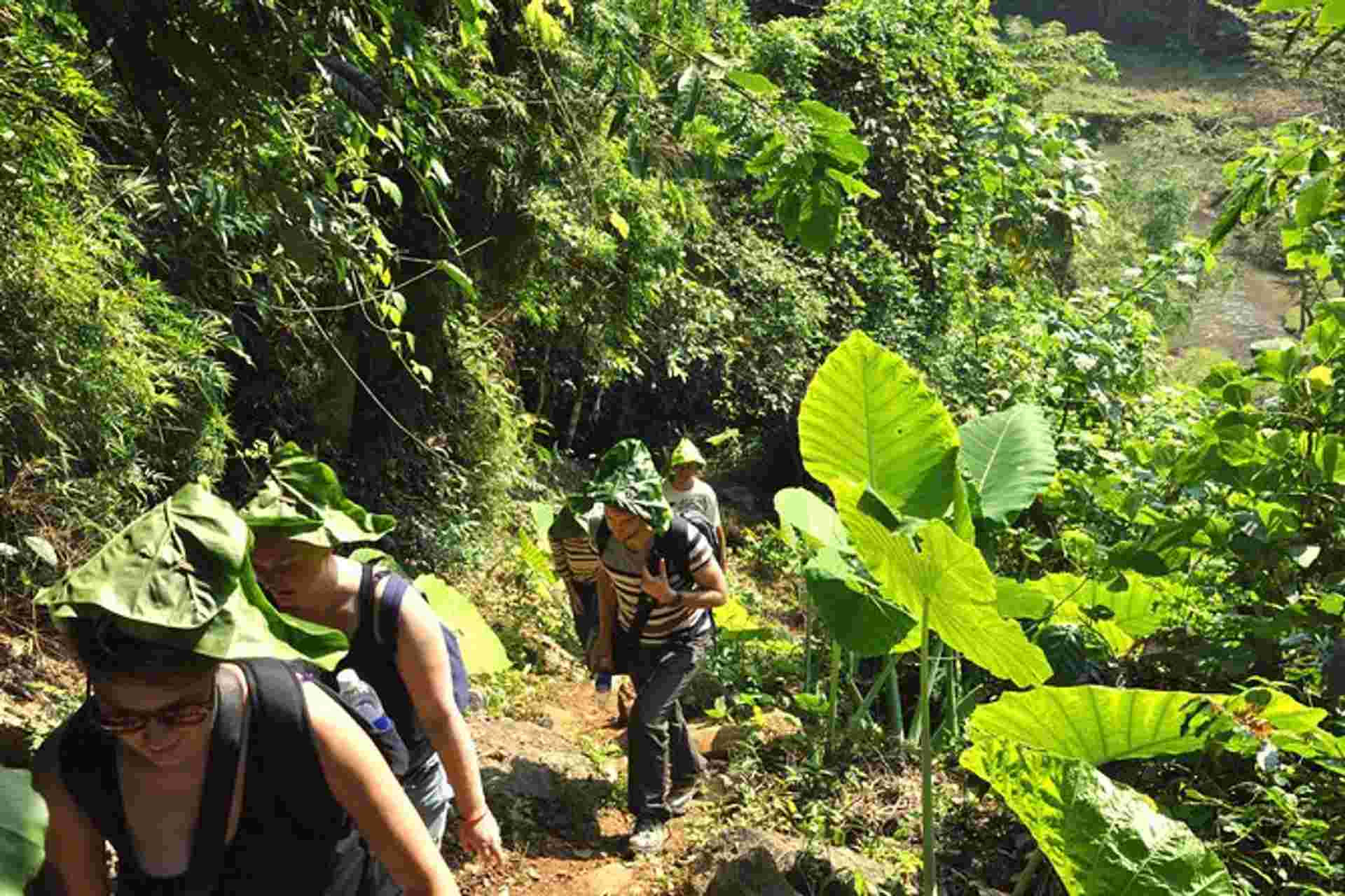 4-day Jungle Trekking In Ba Be National Park