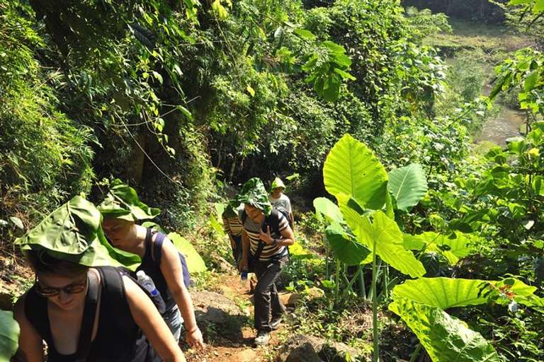 4-day Jungle Trekking In Ba Be National Park trip - alternative tour available
