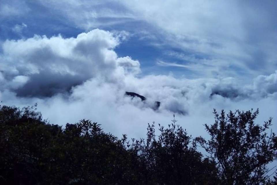 4-Day Manu National Park Tour: World Biosphere Reserve from Cusco - Tangol Tours - Peru - Image 3