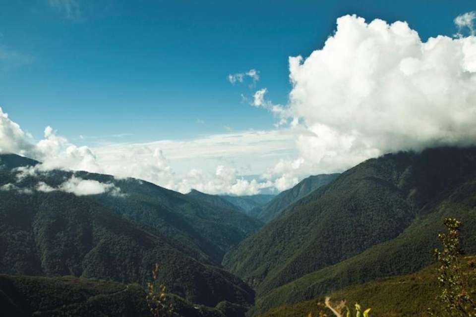 4-Day Manu National Park Tour: World Biosphere Reserve from Cusco - Tangol Tours - Peru - Image 4