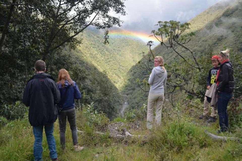 4-Day Manu National Park Tour: World Biosphere Reserve from Cusco - Tangol Tours - Peru - Image 5