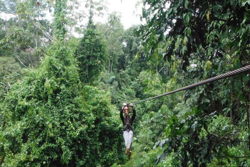 4-Day Manu National Park Tour: World Biosphere Reserve from Cusco - Tangol Tours - Peru - Image 9
