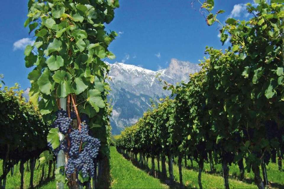 4-Day Mendoza Tour - Tangol Tours - Argentina - Image 3