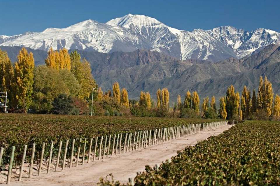 4-Day Mendoza Tour - Tangol Tours - Argentina - Image 4