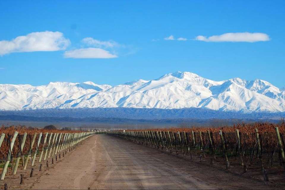 4-Day Mendoza Tour - Tangol Tours - Argentina - Image 5