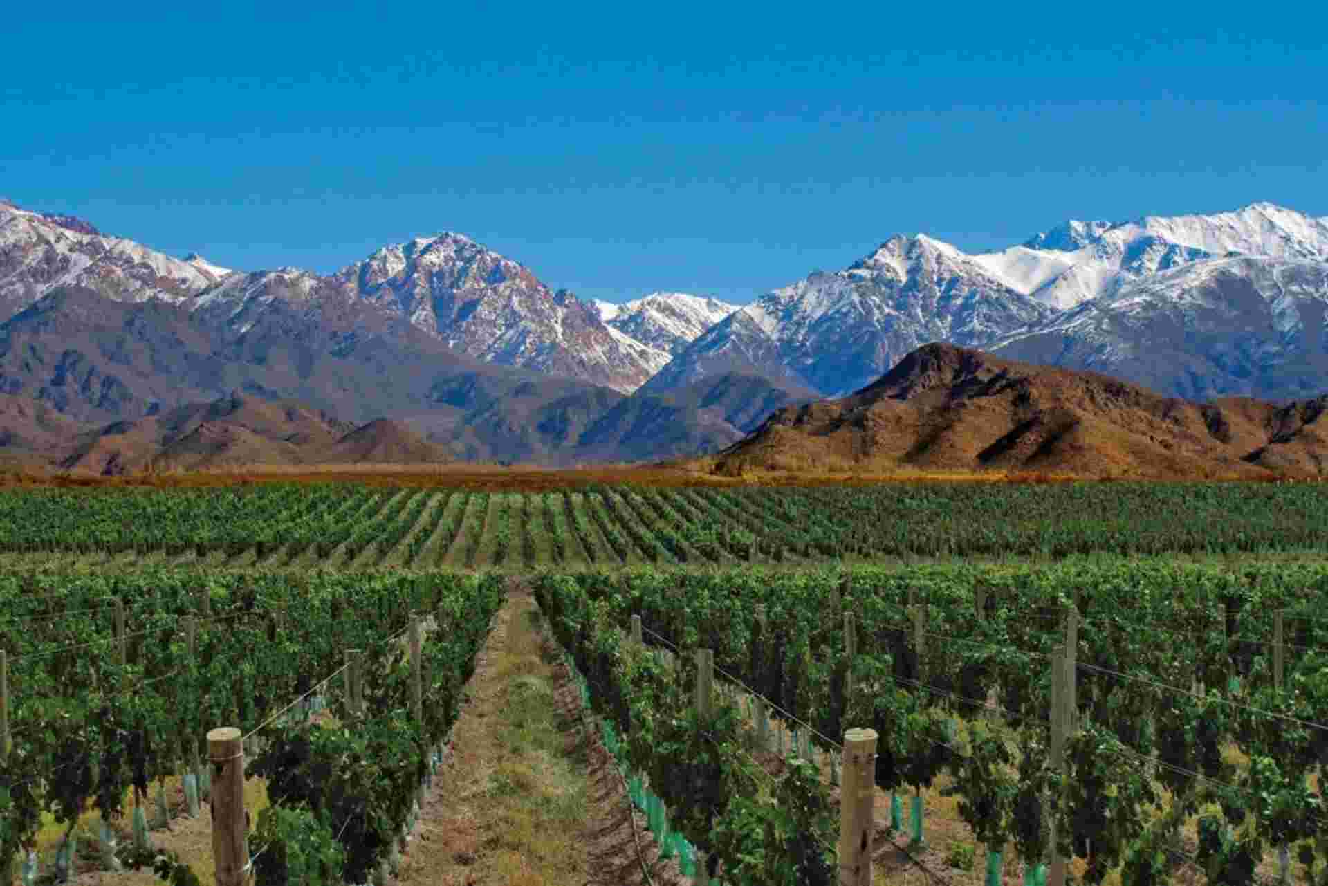 4-day Mendoza Wine Region Experience, French-speaking Guide