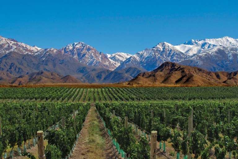 4-day Mendoza Wine Region Experience, French-speaking Guide