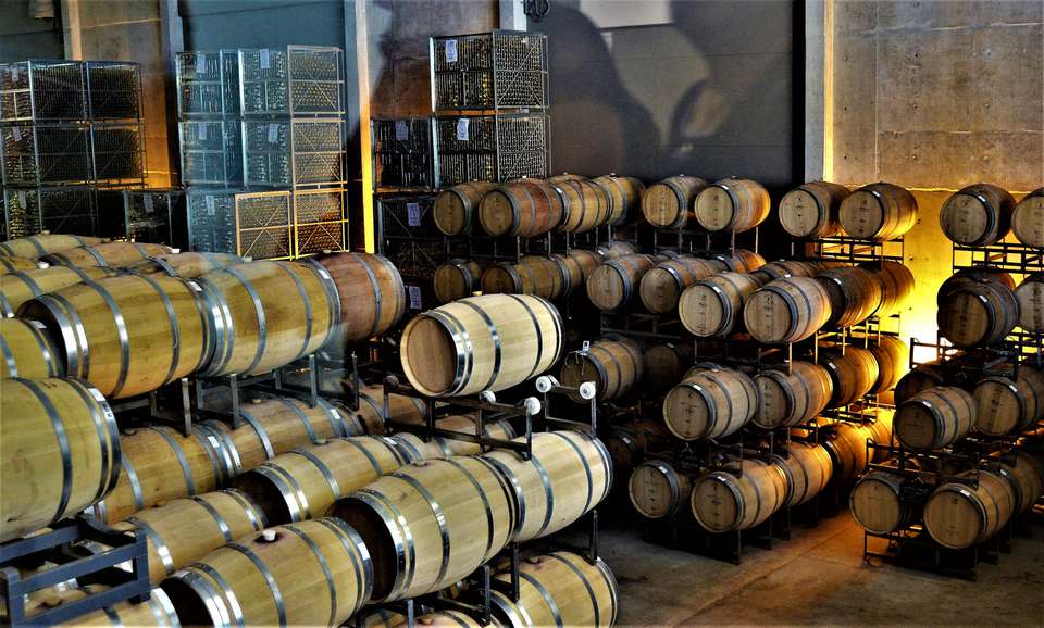 4-day Mendoza Wine Region Experience, French-speaking Guide - Destination Services - Argentina - Image 3