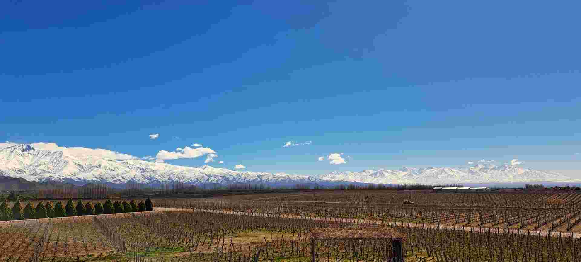 4-day Mendoza Wine Region Experience, French Or German-speaking Guide