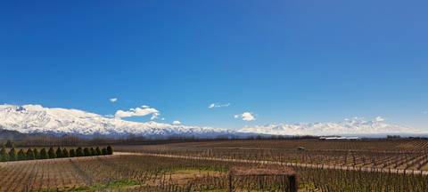 4-day Mendoza Wine Region Experience, French-speaking Guide - January 2027