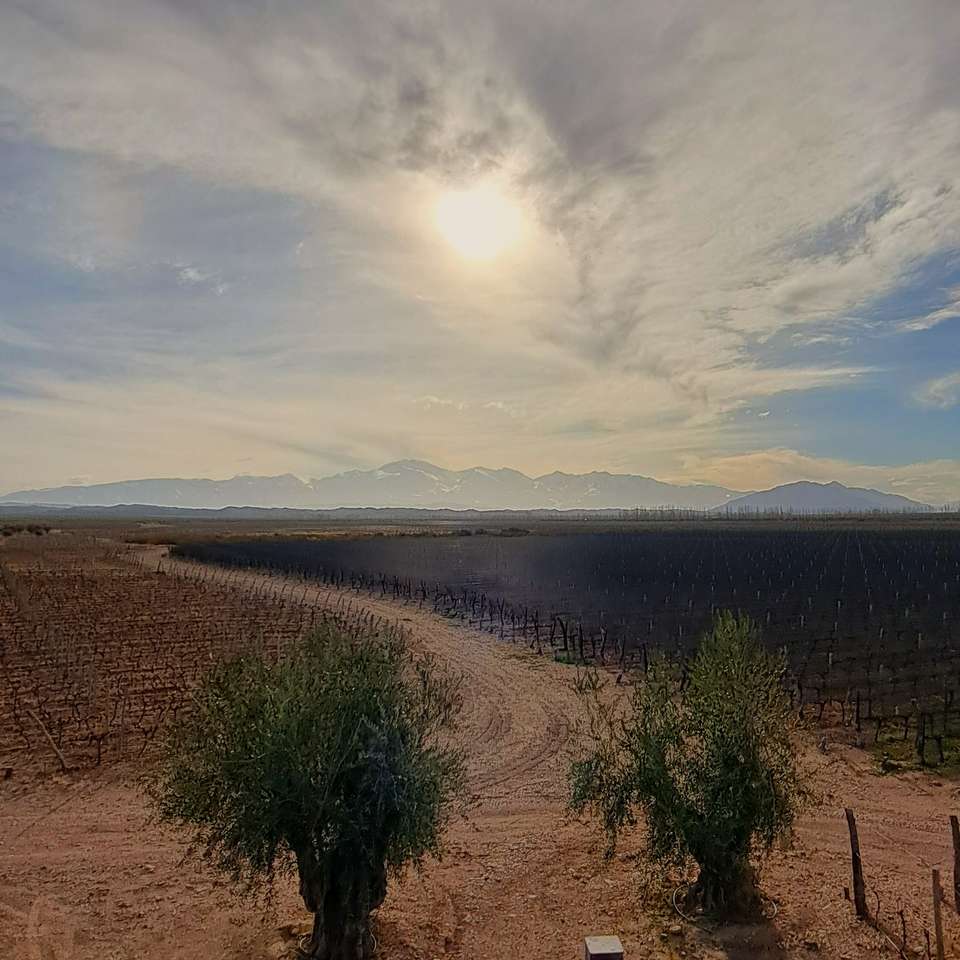 4-day Mendoza Wine Region Experience, French Or German-speaking Guide - Destination Services - Argentina - Image 5