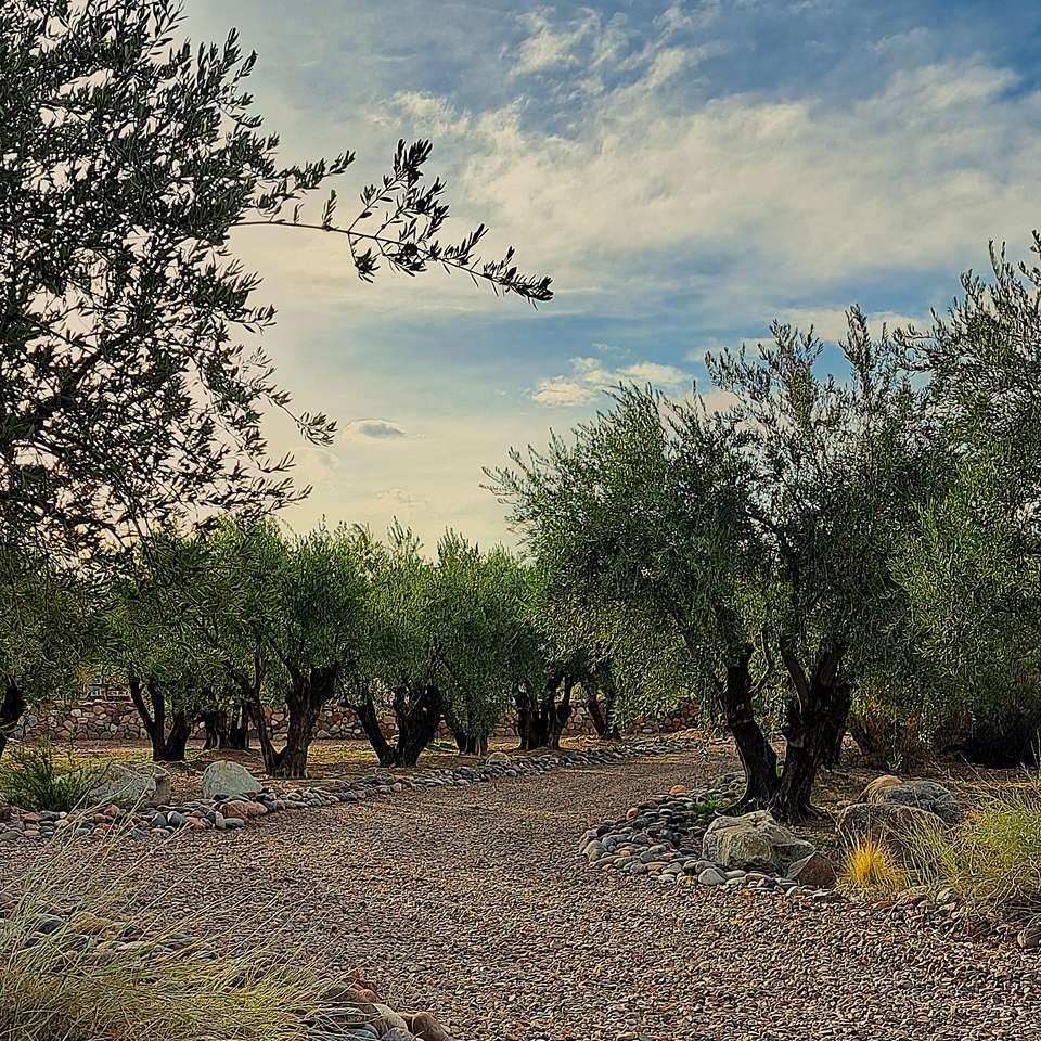 4-day Mendoza Wine Region Experience, French Or German-speaking Guide - Destination Services - Argentina - Image 7