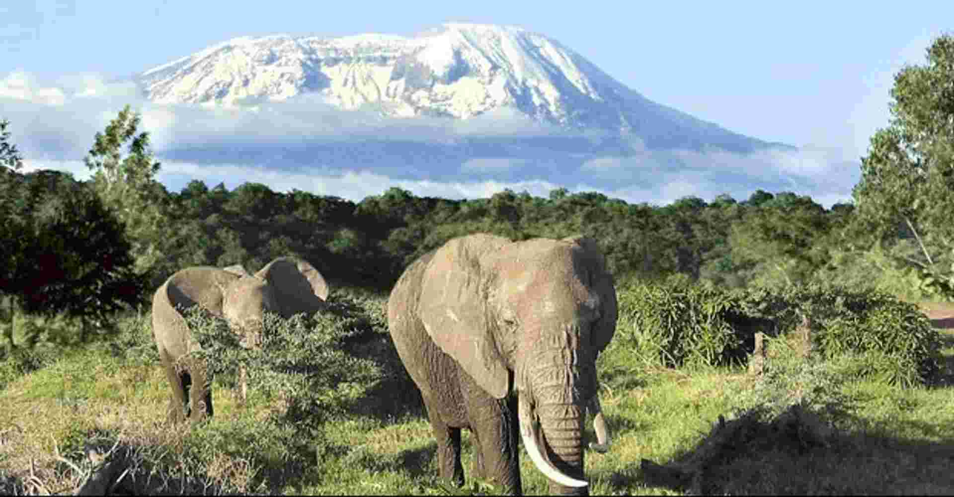 4-Day Mount Meru Trekking 