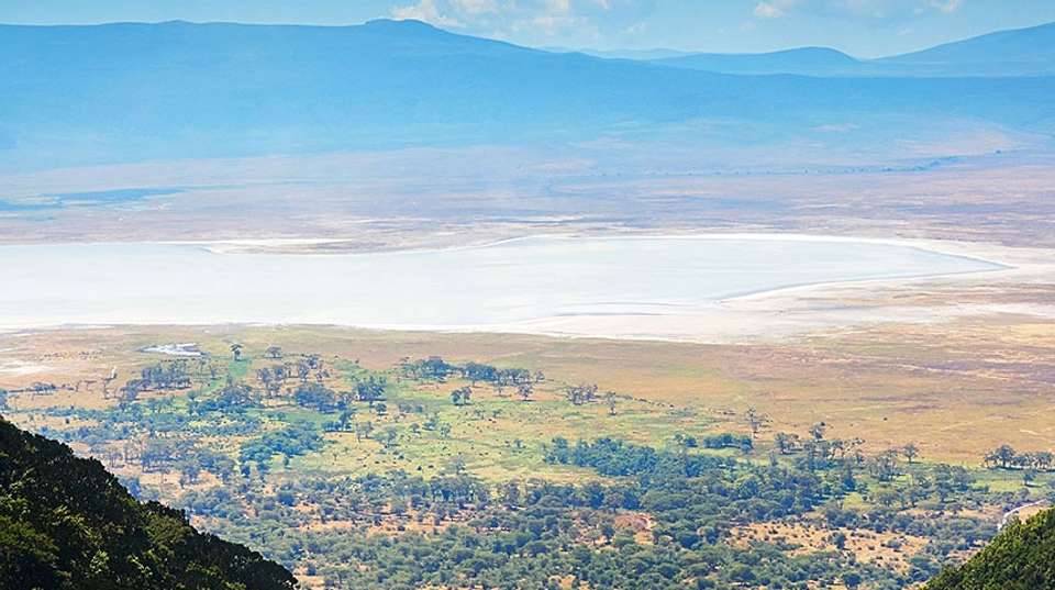 4 Day Ngorongoro Crater Safari Experience - Visit Tanzania Tours & Safaris - Tanzania - Image 2