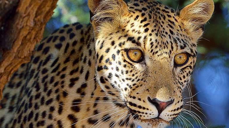 4 Day Ngorongoro Crater Safari Experience trip - alternative tour available