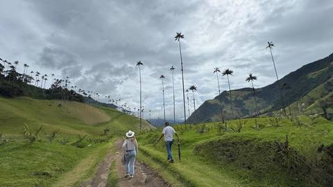 Andes Budget Tours: 4-day Pereira Coffee Region Experience, Private Tour, French-speaking Guide