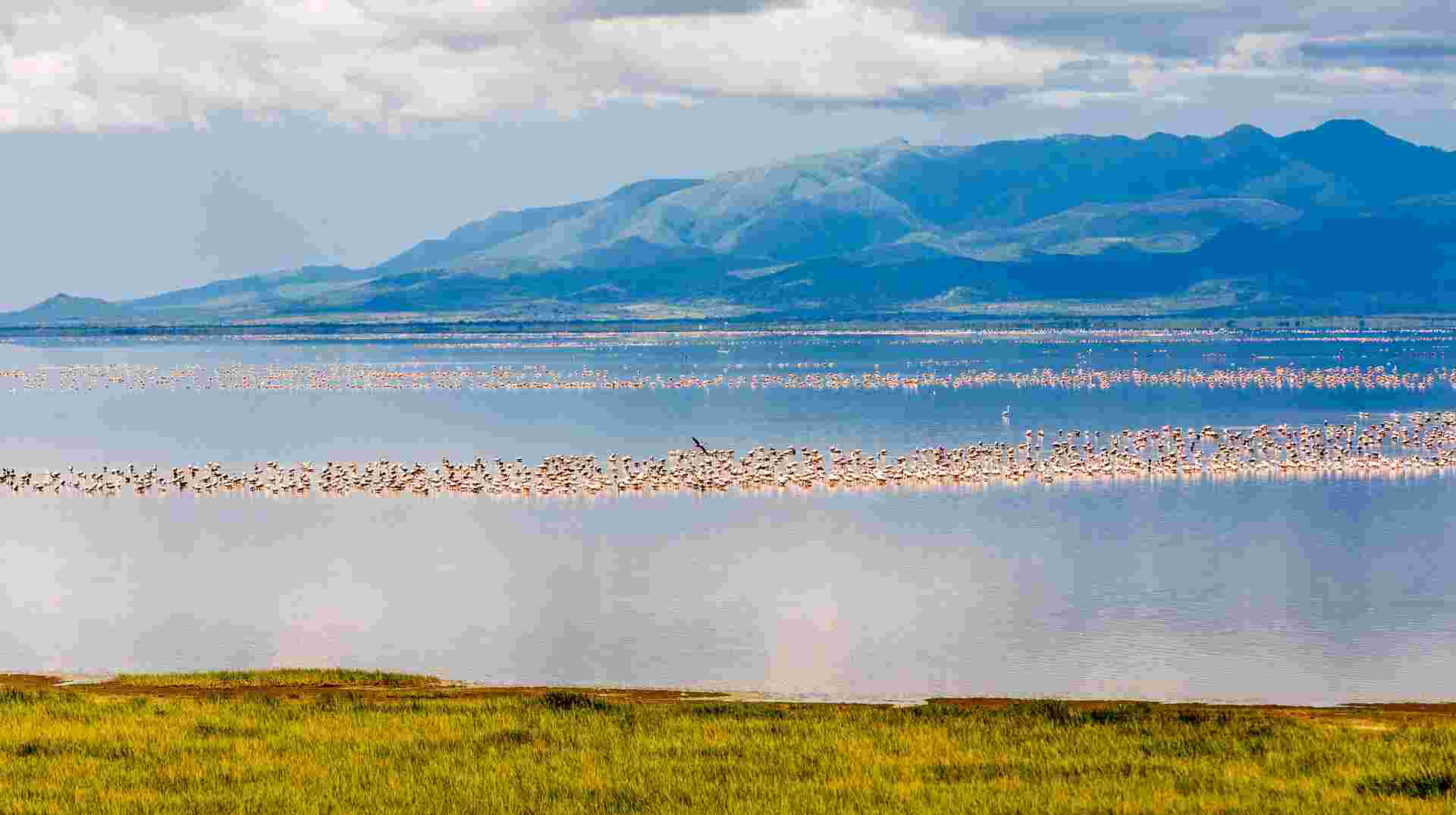 4-day safari in Lake Manyara, Ngorongoro, and Serengeti