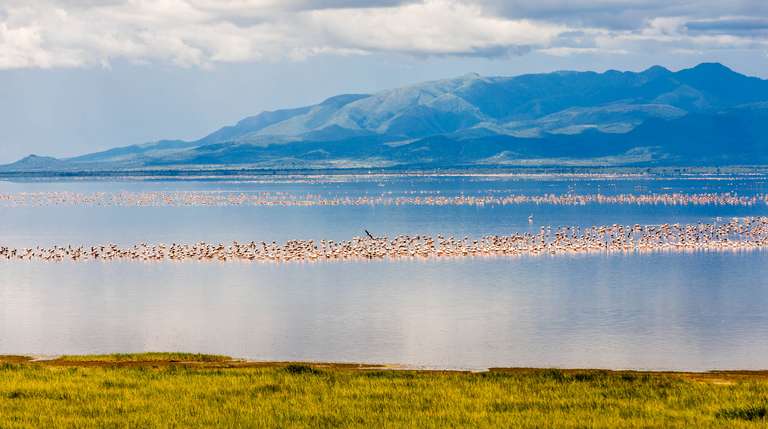 4-day safari in Lake Manyara, Ngorongoro, and Serengeti trip - alternative tour available