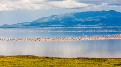 4-day Safari In Lake Manyara, Ngorongoro, And Serengeti - April 2027
