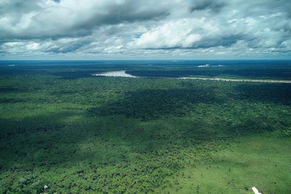4-Day Tambopata Rainforest Adventure - Tangol Tours - Peru - Image 5