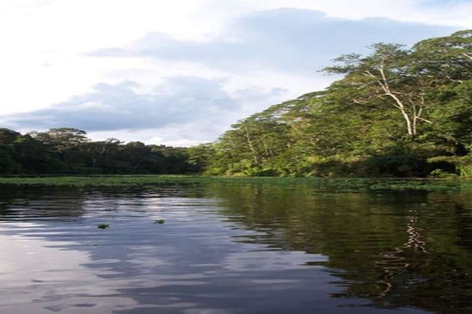 4-Day Trip to Pacaya Samiria Amazon Lodge - Tangol Tours - Peru - Image 3
